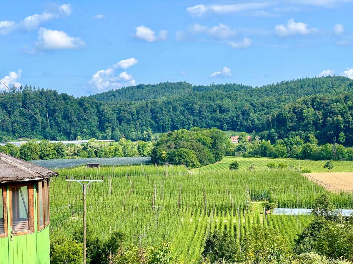Einzigartiger Panoramablick, Bodensee Und Messe In Der Naehe Tettnang Exteriér fotografie